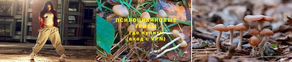 марихуана Бронницы