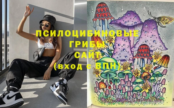 марки lsd Бородино