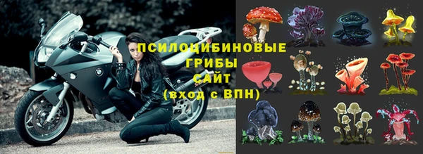 марки lsd Бородино