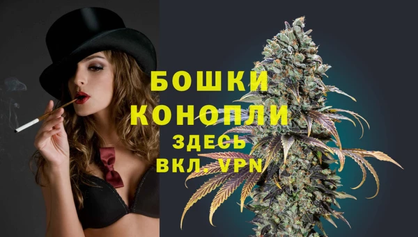 марки lsd Бородино